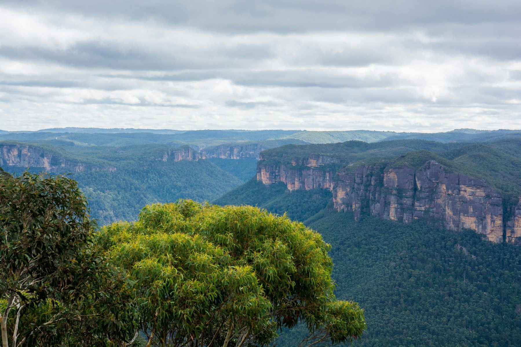 Blue Mountains valley, New South Wales